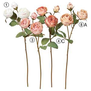 ASCA アスカ ローズX2 つぼみX1 (A-34216-001)【入数:12】