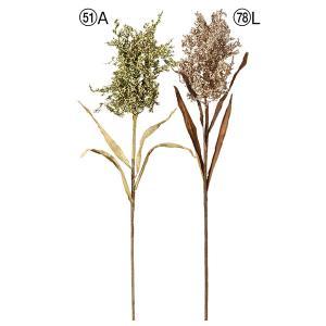 ASCA アスカ ワイルドベリークラスター (A-47913-051A)【入数:12】