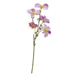 ASCA アスカ ノウゼンカズラX5 (A-34112-026)【入数:12】