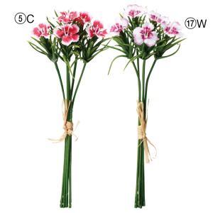 ASCA アスカ ナデシコバンチ(1束5本) (A-34666-017W)【入数:36】