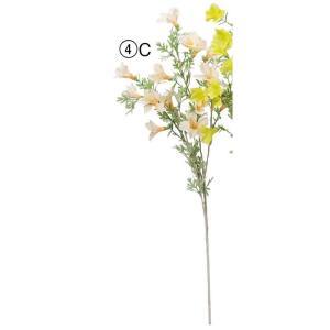 ASCA アスカ カンパニュラX15 (A-34733-004C)【入数:24】