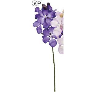 ASCA アスカ バンダオーキッドX8 つぼみX4 (A-34701-009P)【入数:12】