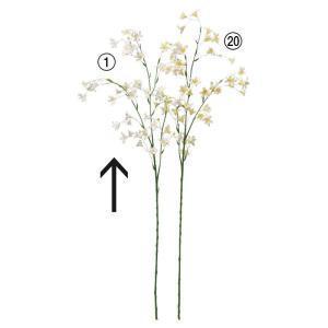 ASCA アスカ カンパニュラX43 つぼみX5 (A-34757-001)【入数:24】