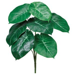 ASCA アスカ アロカシアブッシュ (A-44379-051A)【入数:12】