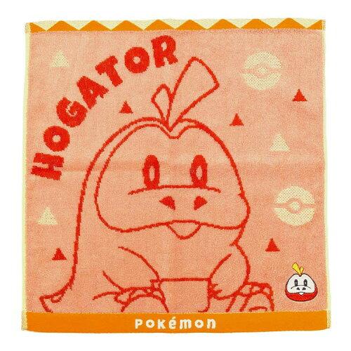 林(Hayashi) 林(HAYASHI) ウォッシュタオル ポケモン WO207800 (2270106)