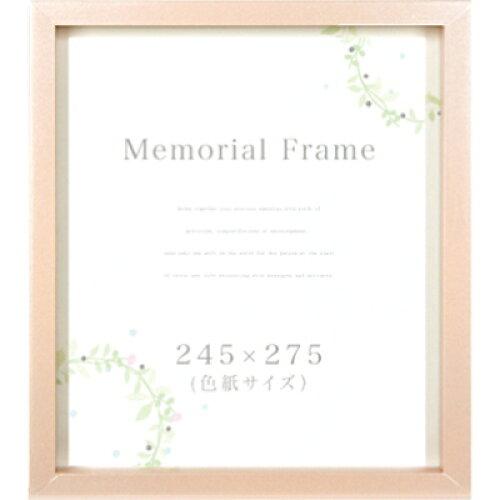 APJ �����ȥץ��ȥ���ѥ� A.P.J. �����ȥץ��ȥ���ѥ� �ե��ȥե졼�� ���ꥢ��ե졼�� ���極����(245��275mm) �ԥ󥯥ѡ��롦100...