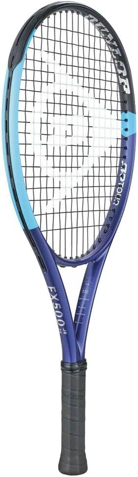 住友ゴム工業 26_DFX500JR25_DS22600J (DS22600J) [サイズ : G0 ...