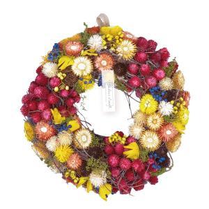 フリーマーケットインターナショナルトレーディング (Paseo)カラフルリースL XS-203L