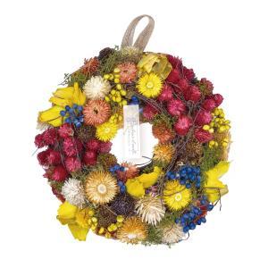 フリーマーケットインターナショナルトレーディング (Paseo)カラフルリースM XS-203M