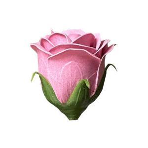 &nbsp;メーカー&nbsp;マッセ(MASSE)&nbsp;商品カテゴリ&nbsp;ドライ・プリザーブドフラワー＞プリザーブドフラワー&nbsp;発送目安&nbsp;2日〜3日以内に発送予定（土日祝除）&nbsp;お支払方法&nbsp;銀行振込・クレジットカード&nbsp;送料&nbsp;送料無料&nbsp;特記事項&nbsp;&nbsp;その他&nbsp;