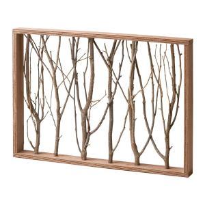 �ե꡼�ޡ����åȥ��󥿡��ʥ���ʥ�ȥ졼�ǥ��� (Paseo)���åɥ�������ǥ��졼����� 12-24BR