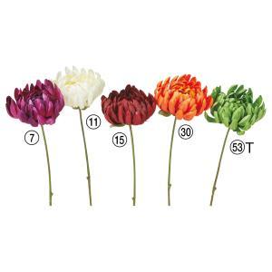 &nbsp;メーカー&nbsp;ASCA アスカ&nbsp;商品カテゴリ&nbsp;フラワー・観葉植物＞造花&nbsp;発送目安&nbsp;2日〜3日以内に発送予定（土日祝除）&nbsp;お支払方法&nbsp;銀行振込・クレジットカード&n...