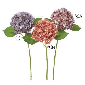 ASCA アスカ ハイドランジア (A-35295-007)【入数:12】