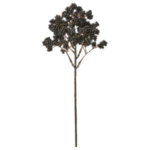 ASCA アスカ ベリーピック (A-48027-100)【入数:24】