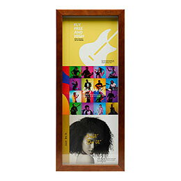 ケンコー・トキナー Kenko 額縁 CDディスプレイフレーム CDジャケット3枚収納可能 タテ置きタイプ ブラウン 外寸175×409mm PS-CD3T-BR