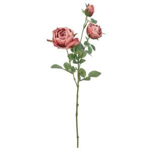 ASCA アスカ ローズ×2 つぼみ×1 (A-35320-038B)【入数:24】