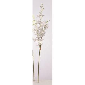 &nbsp;メーカー&nbsp;ASCA アスカ&nbsp;商品カテゴリ&nbsp;フラワー・観葉植物＞造花&nbsp;発送目安&nbsp;2日〜3日以内に発送予定（土日祝除）&nbsp;お支払方法&nbsp;銀行振込・クレジットカード&nbsp;送料&nbsp;送料無料&nbsp;特記事項&nbsp;&nbsp;その他&nbsp;