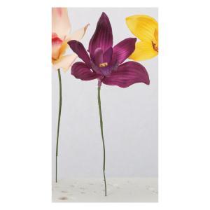 ASCA アスカ シンビジューム (A-34423-007)【入数:36】