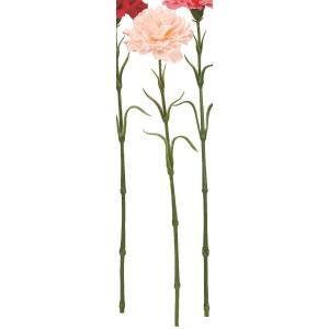 ASCA ������ �����͡������ (A-35237-004S)������:24��