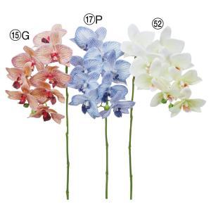 ASCA アスカ コチョウラン×8 つぼみ×2 (A-35240-015G)【入数:12】