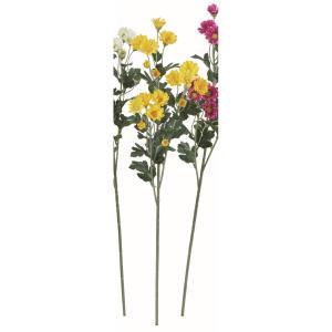 ASCA アスカ 小菊×18 (A-35247-010)【入数:12】