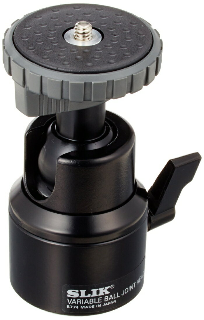 SLIK �Х뼫ͳ���� (BAL-HEAD)