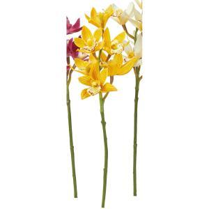 ASCA アスカ シンビジューム×5 (A-73460-010)【入数:24】