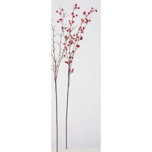 ASCA アスカ ベリースプレー (A-74687-002)【入数:24】