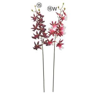 ASCA アスカ オンシジューム×11 つぼみ×3 (A-35310-015)【入数:12】