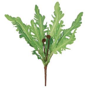 ASCA アスカ ファーンブッシュ (A-44706-051A)【入数:12】