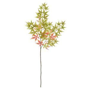 橙黄色 - ASCA アスカ モミジ (A-44716-068G)【入数:12】