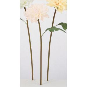 ASCA アスカ ダリア (A-35318-013)【入数:12】