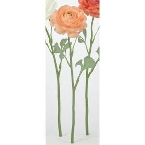 ASCA アスカ ラナンキュラス (A-35319-004C)【入数:12】