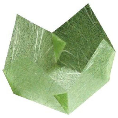 ヤマコー yamaco66307