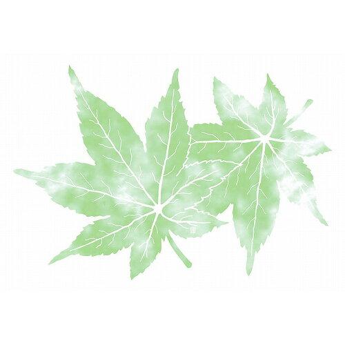 ヤマコー yamaco66779