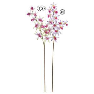 ASCA アスカ オーキッド×13 (A-35325-007G)【入数:12】