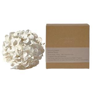 ���¥ȥ졼�ǥ��� ��Sola Flower�ۥ���ե����ե��� (sa25002043)������:6��