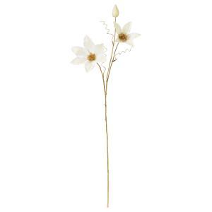 &nbsp;メーカー&nbsp;ASCA アスカ&nbsp;商品カテゴリ&nbsp;フラワー・観葉植物＞造花&nbsp;発送目安&nbsp;2日〜3日以内に発送予定（土日祝除）&nbsp;お支払方法&nbsp;銀行振込・クレジットカード&nbsp;送料&nbsp;送料無料&nbsp;特記事項&nbsp;&nbsp;その他&nbsp;