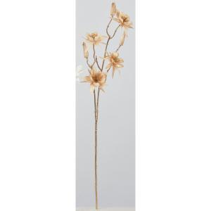 ASCA アスカ シャイニーオダマキスプレー×4 つぼみ×3 (A-73464-008A)