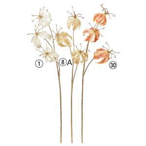 ASCA アスカ シャイニーグロリオサ×3 (A-73466-001)【入数:12】