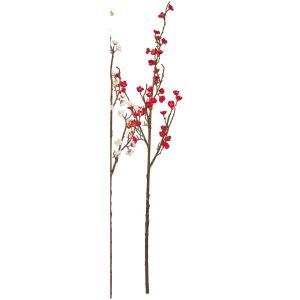 ASCA アスカ 梅×39 (A-73469-002)