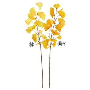 ASCA アスカ イチョウ (A-44726-010)【入数:24】