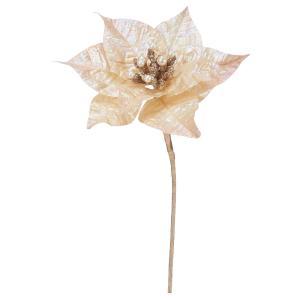 ASCA アスカ イリディセントポインセチアピック (AX60924-000)