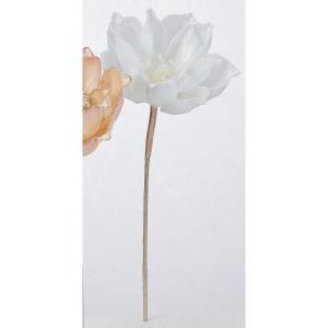 ASCA アスカ イリディセントマグノリア (AX60929-031)