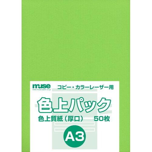 樂天商城 - ミューズ 色上パック 色上質紙 A3 緑 (2147988)