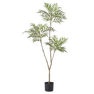 Rakuten - ASCA アスカ マホニア(ポット付) (A-51143-051A)