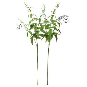 ASCA アスカ ワイルドフラワーX2 (A-34159-001)【入数:24】