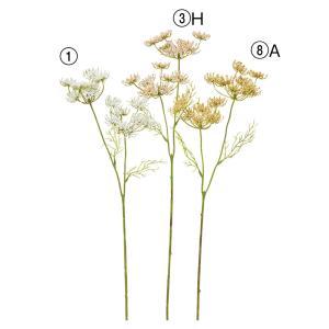 ASCA アスカ クイーンアンズレース×2 (A-34921-001)【入数:24】