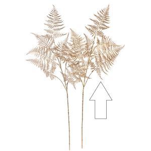 ASCA アスカ アスパラガスファーン (A-44534-040)【入数:12】