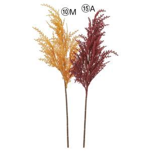 ASCA アスカ パンパス (A-44702-010M)【入数:24】